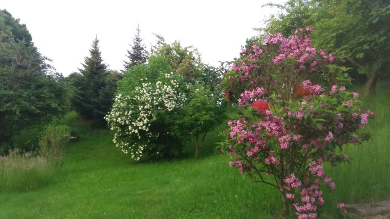 Giesis Wohlfuehloase Apartment Dobeln Luaran gambar