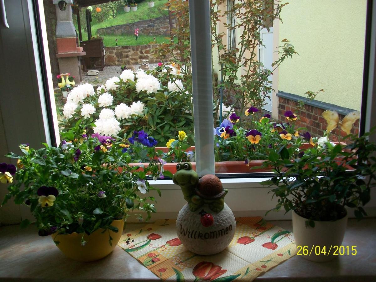 Giesis Wohlfuehloase Apartment Dobeln Luaran gambar